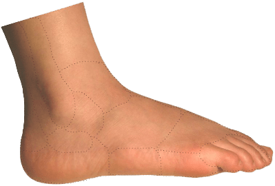 Outer Side Foot