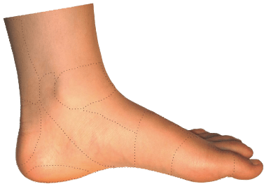 Inner Side Foot